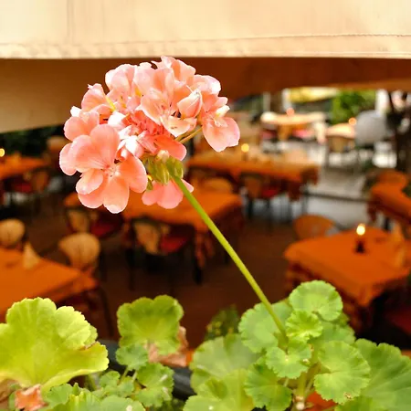 Szálloda Fiorentino 2*