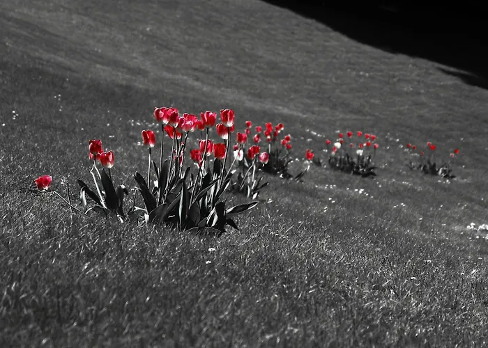 Hotell Fiorentino 2*